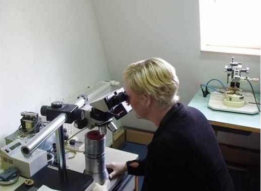 Susanne Klinkenberg minőségellenőr aki éppen egy fűtőszálat (katódszál) ellenőriz mikroszkóp alatt.